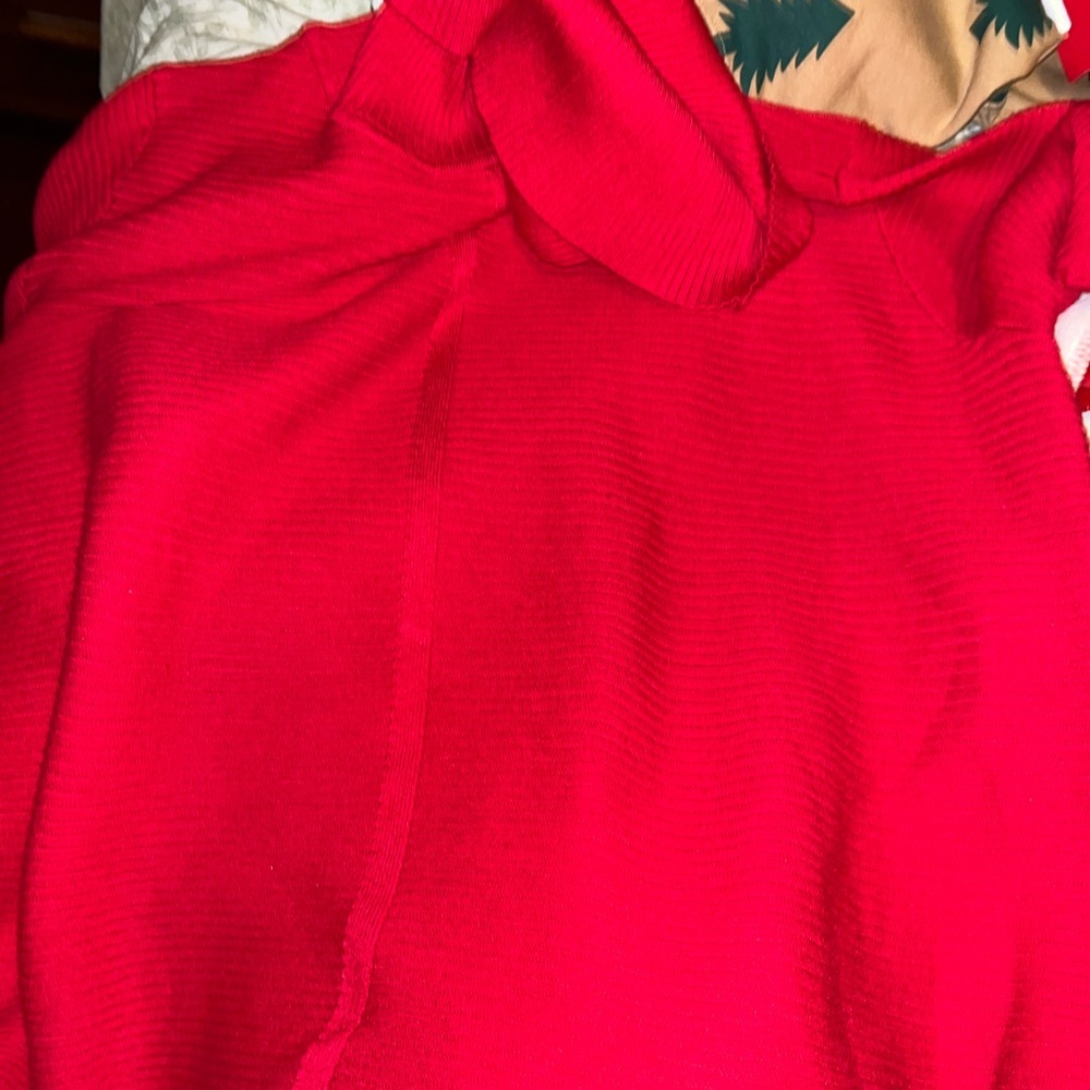 Two Holiday Sweater Bundle Light Gray BELIEVE  and Gorgeous Red Turtleneck